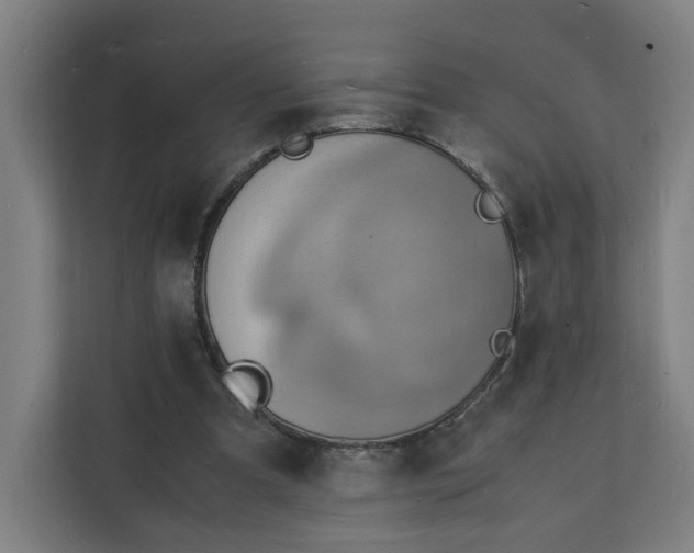 X0000112150297200908211419
