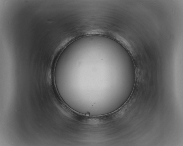 X0000112150298200908211419