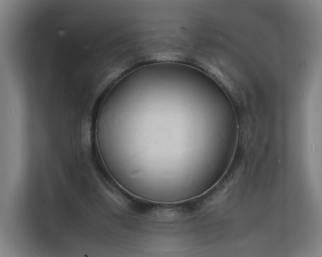 X0000112150299200908211419