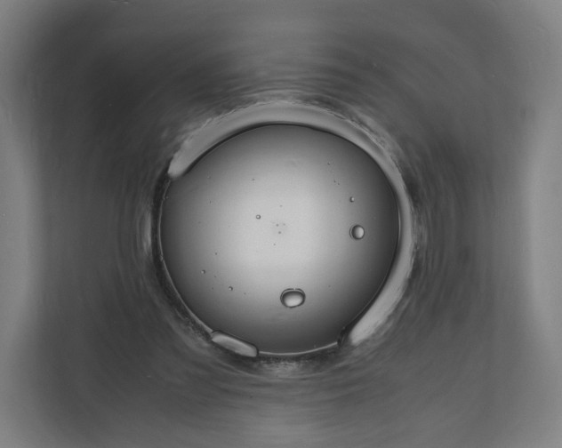 X0000112150301200908211419