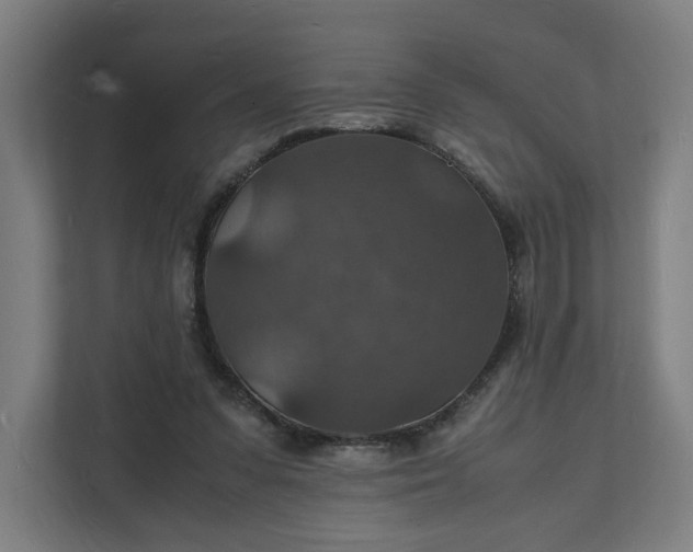 X0000112150303200908211419