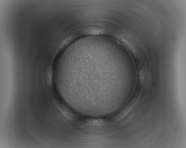 X0000112150304200908211419