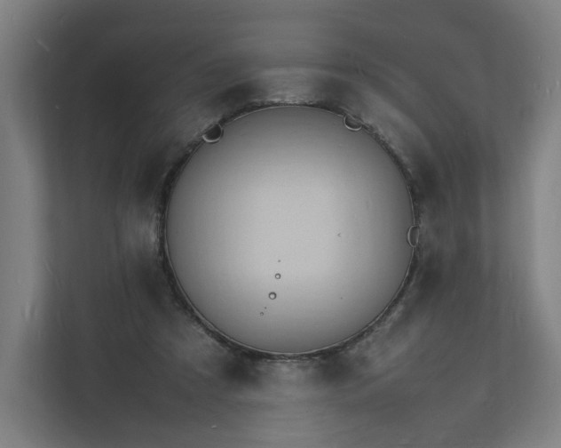 X0000112150305200908211419