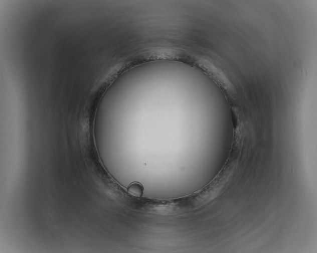 X0000112150306200908211419