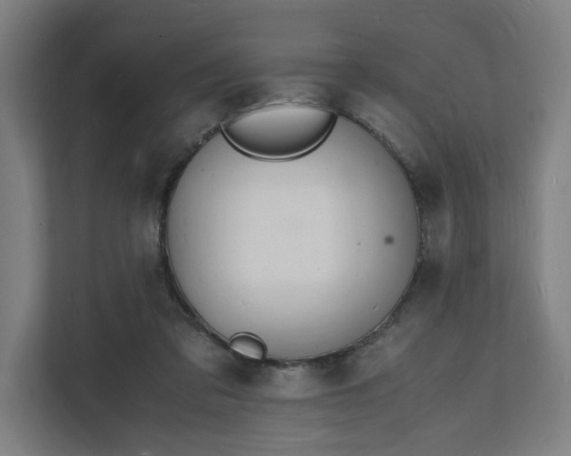 X0000112150309200908211419