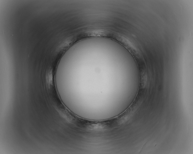 X0000112150310200908211419