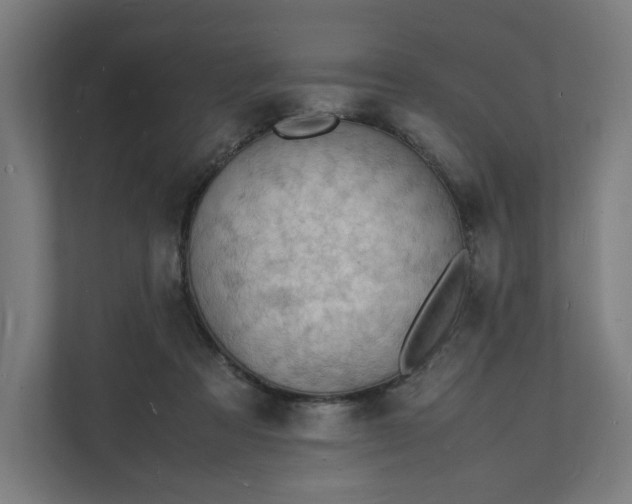 X0000112150313200908211419