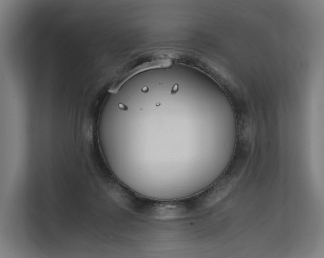 X0000112150315200908211419