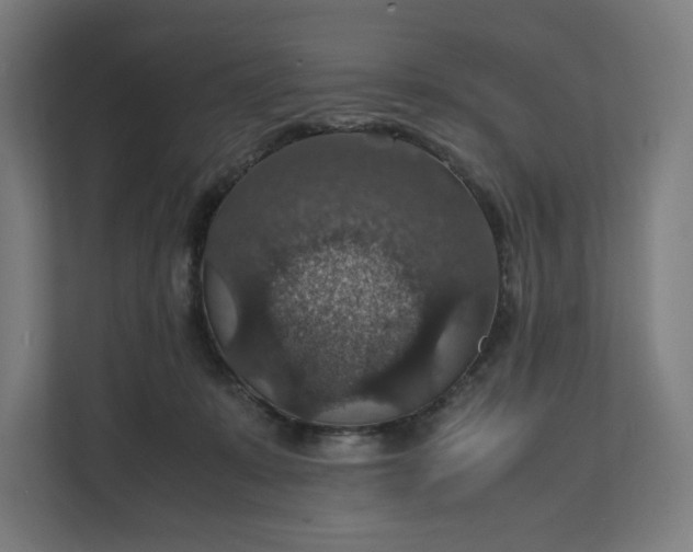 X0000112150319200908211419