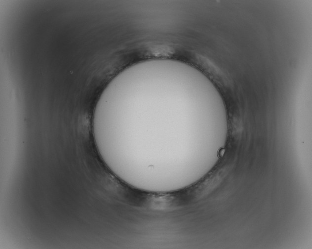 X0000112150321200908211419