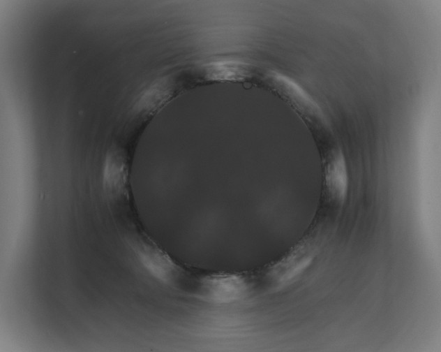 X0000112150322200908211419