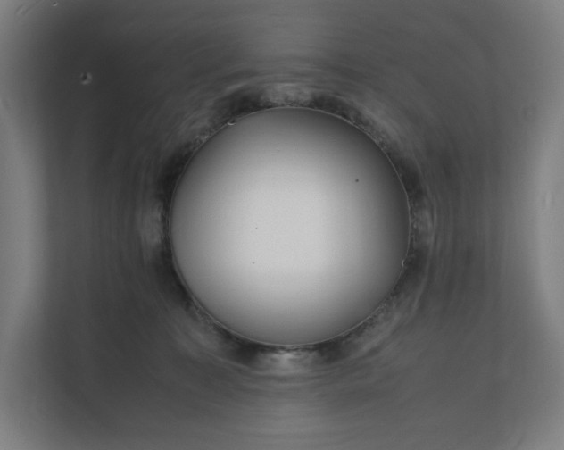 X0000112150323200908211419