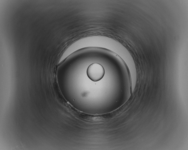 X0000112150324200908211419