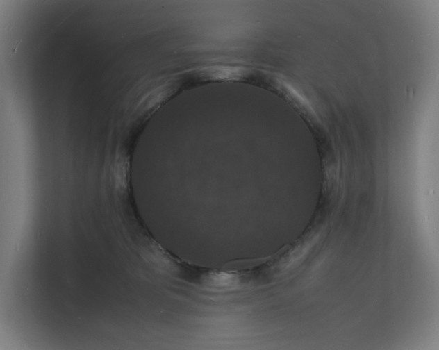 X0000112150325200908211419