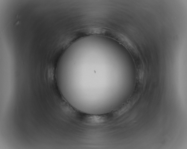 X0000112150326200908211419