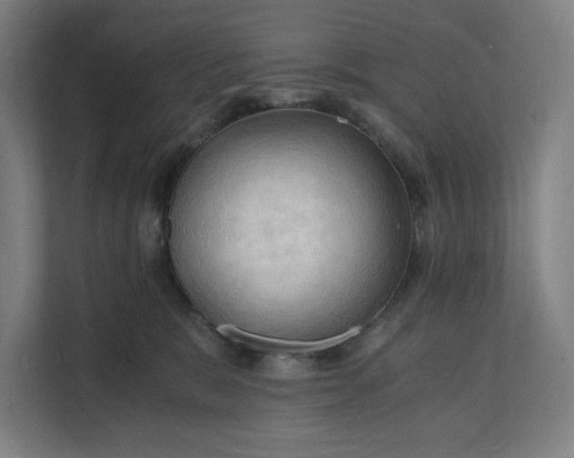 X0000112150327200908211419