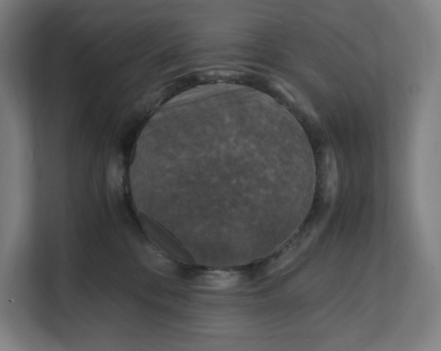 X0000112150328200908211419