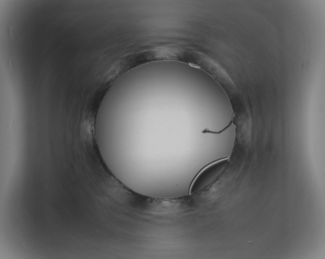 X0000112150329200908211419