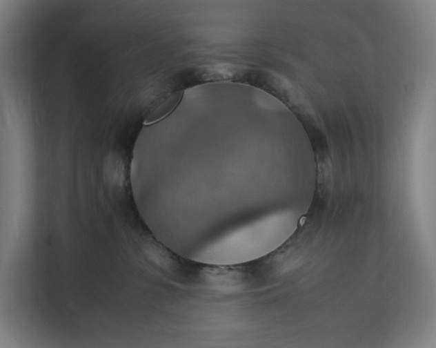 X0000112150331200908211419