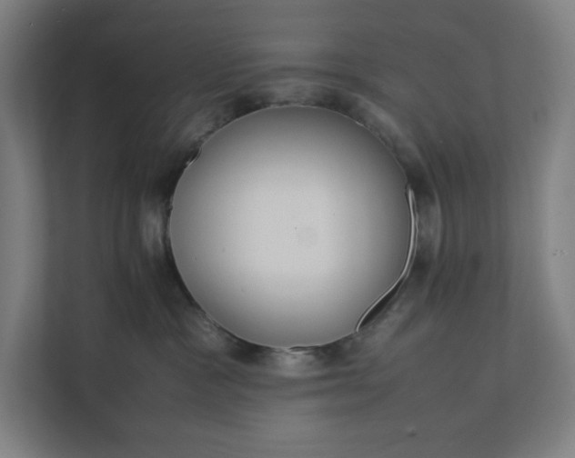 X0000112150333200908211419