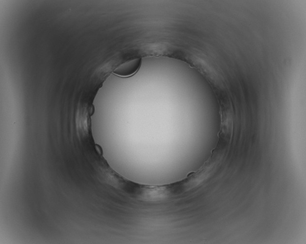 X0000112150334200908211419