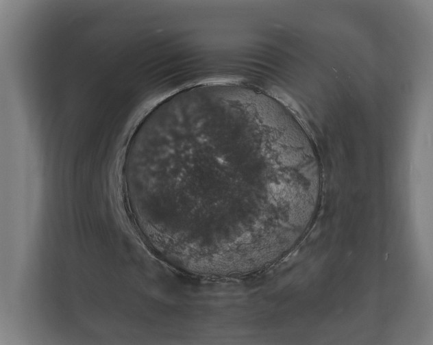 X0000112150337200908211418