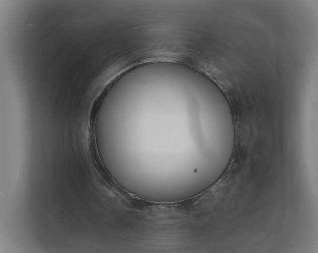 X0000112150338200908211418