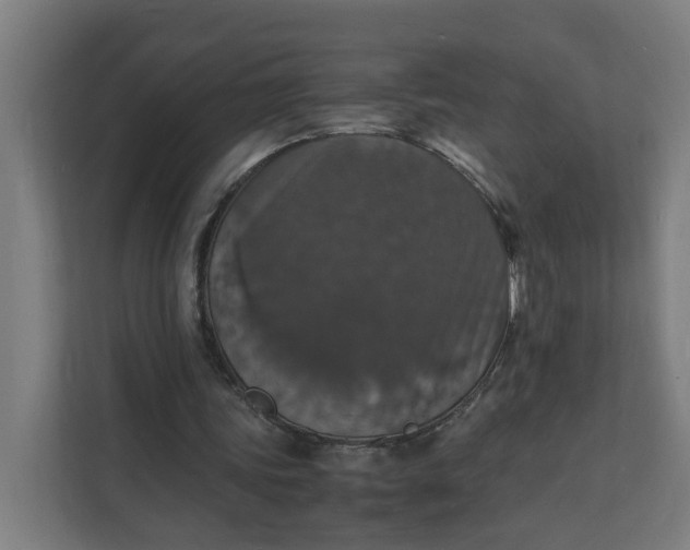 X0000112150339200908211418