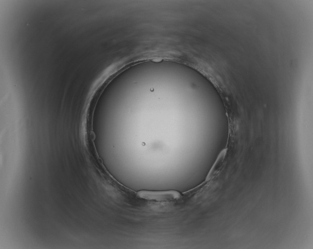 X0000112150340200908211418