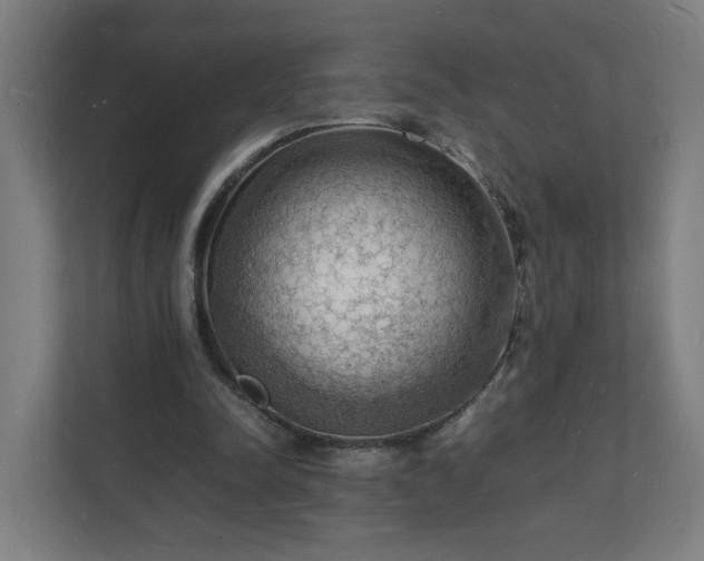 X0000112150342200908211418