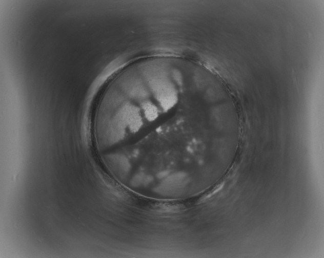 X0000112150343200908211418