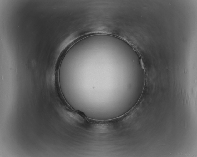 X0000112150344200908211418