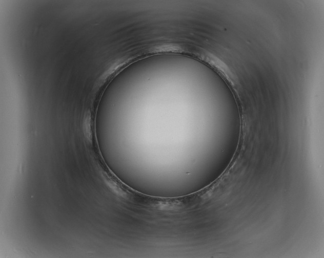 X0000112150345200908211418