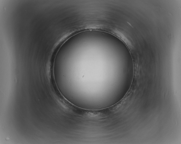 X0000112150346200908211418