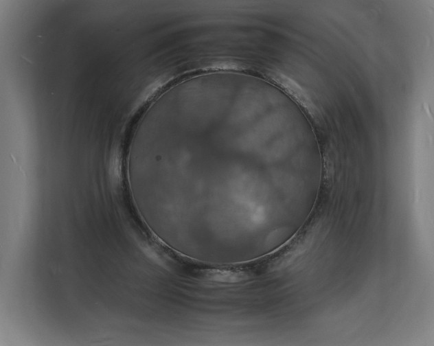 X0000112150347200908211418