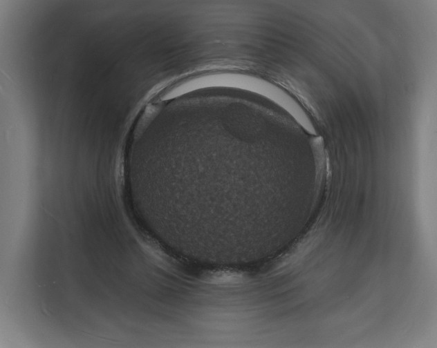 X0000112150348200908211418