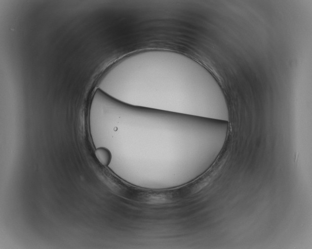 X0000112150349200908211418