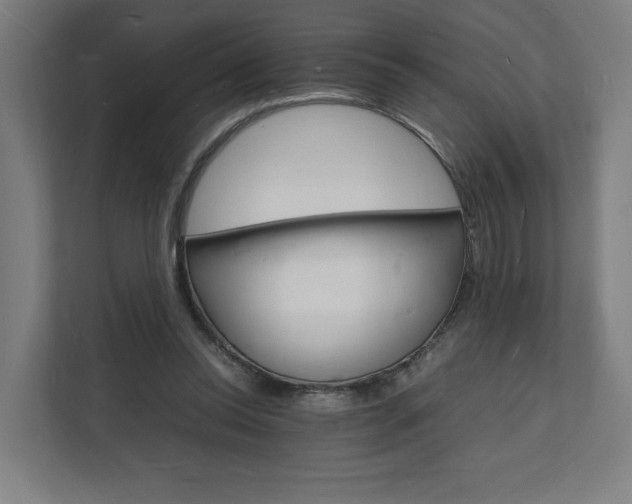 X0000112150350200908211418