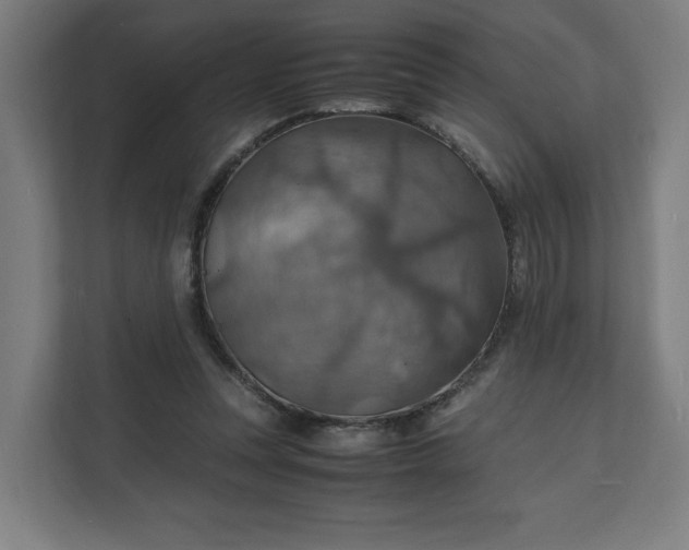 X0000112150351200908211419