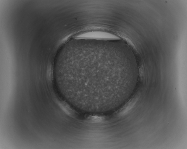 X0000112150352200908211419