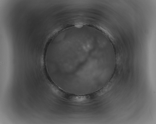 X0000112150353200908211419