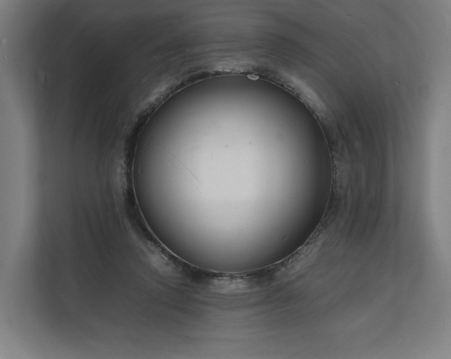 X0000112150354200908211419