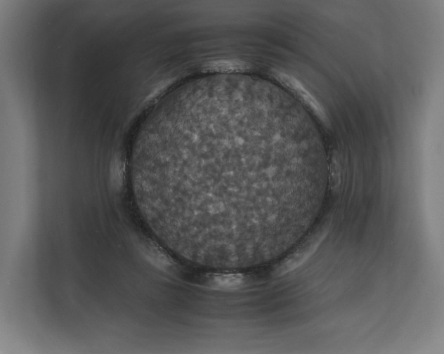 X0000112150355200908211419