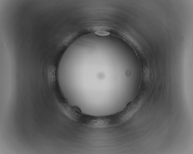 X0000112150356200908211419