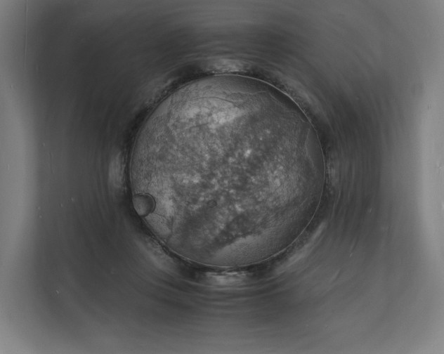 X0000112150359200908211419