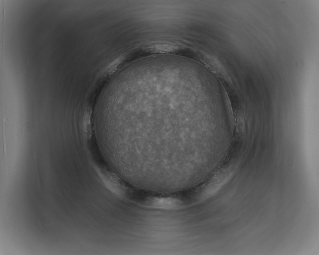 X0000112150360200908211419