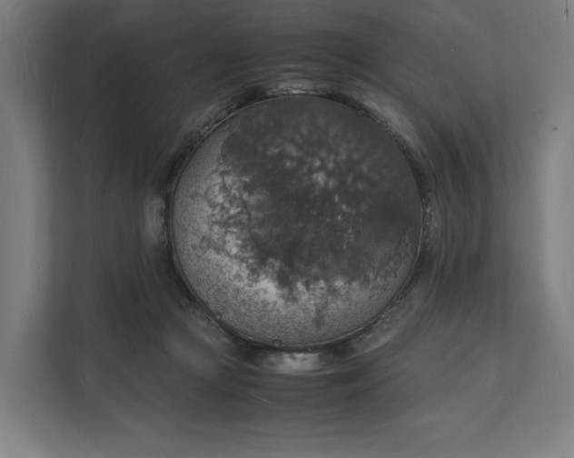 X0000112150361200908211419