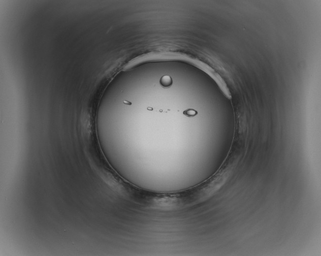 X0000112150362200908211419