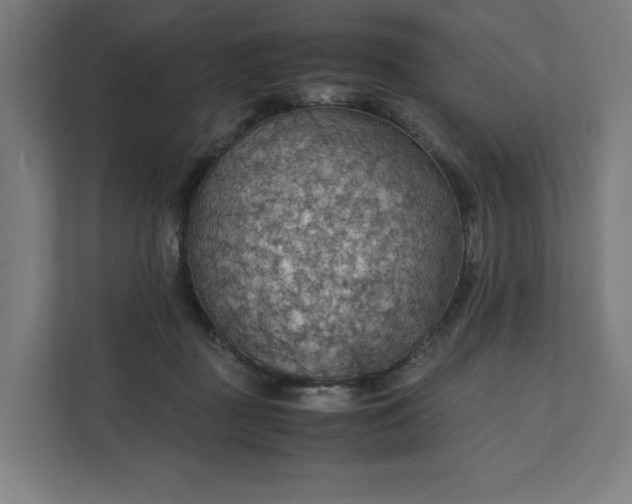X0000112150363200908211419