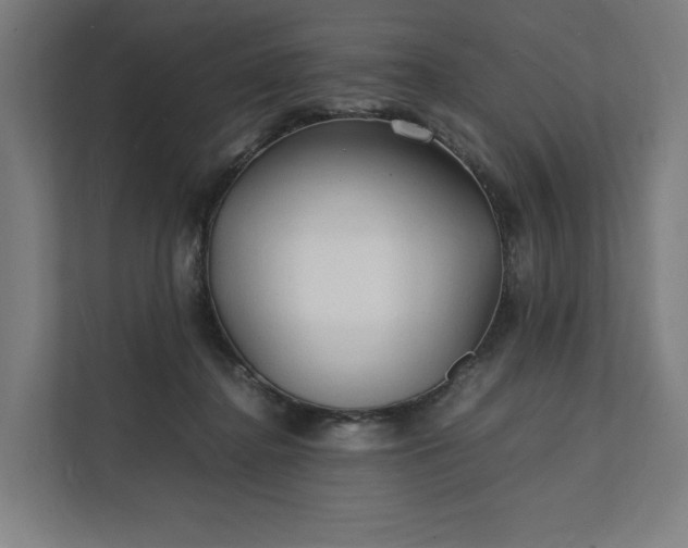 X0000112150364200908211419